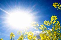 پایداری وضعیت جوی در اصفهان 