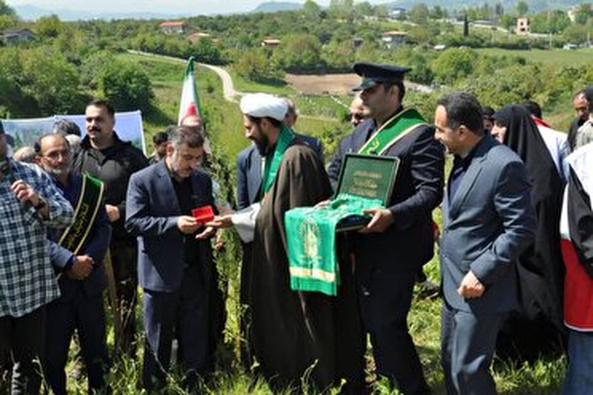  کاشت نهال 