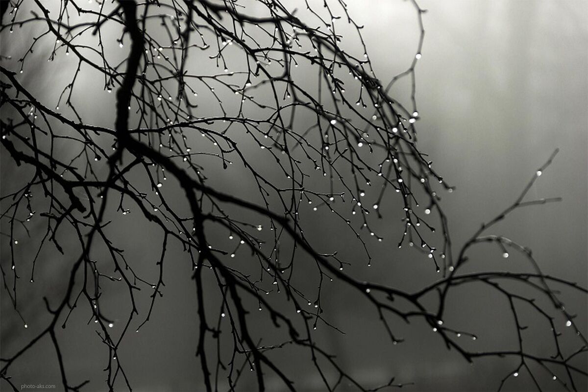 آب وهوای بارانی