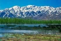 ثبت بیش از ۵۰ هزار فرد پرنده آبزی و کنارآبزی در تالاب‌های چهارمحال و بختیاری 