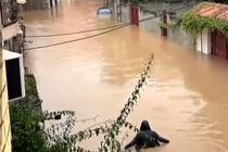 سقوط دو خودرو به رودخانه سیبلی/ 300 واحد مسکونی آستارا در محاصره سیل