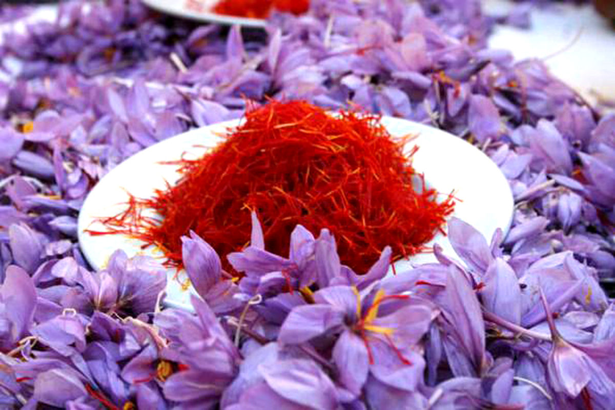  معامله زعفران در بورس