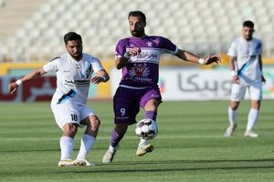 هوادار با پیروزی بر مس سونگون صعود کرد