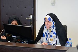 پایین آوردن ریسک سرمایه گذاری در مناطق آزاد از سوی مجلس