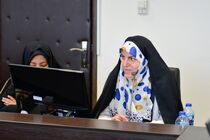 پایین آوردن ریسک سرمایه گذاری در مناطق آزاد از سوی مجلس