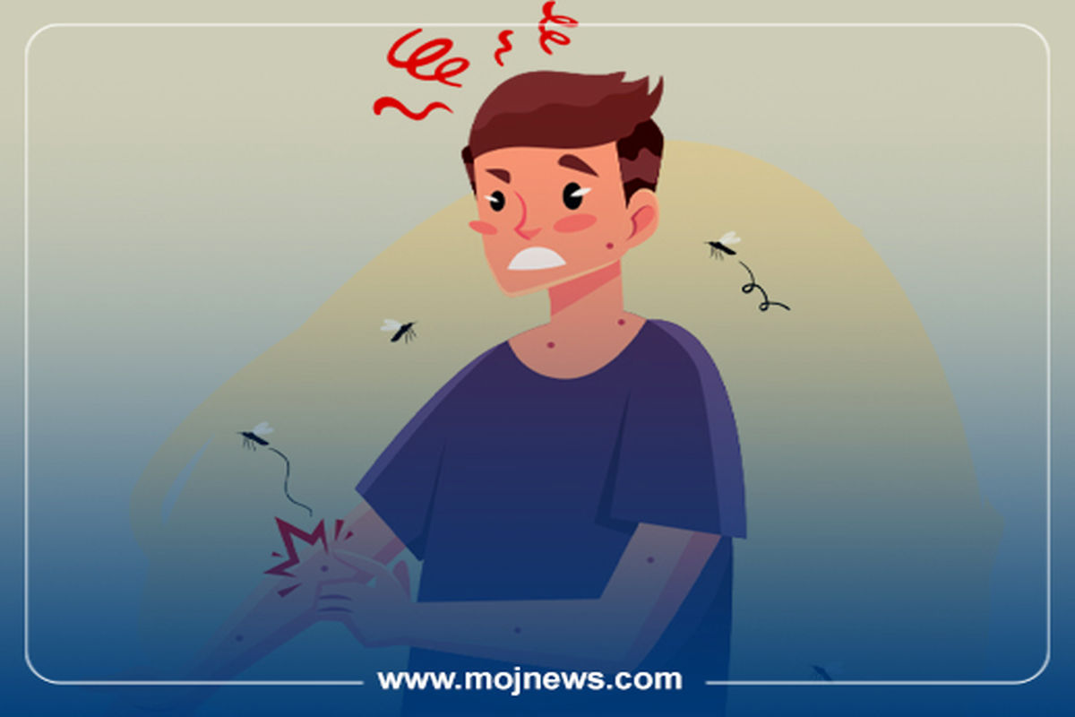 کاور کبودی 4