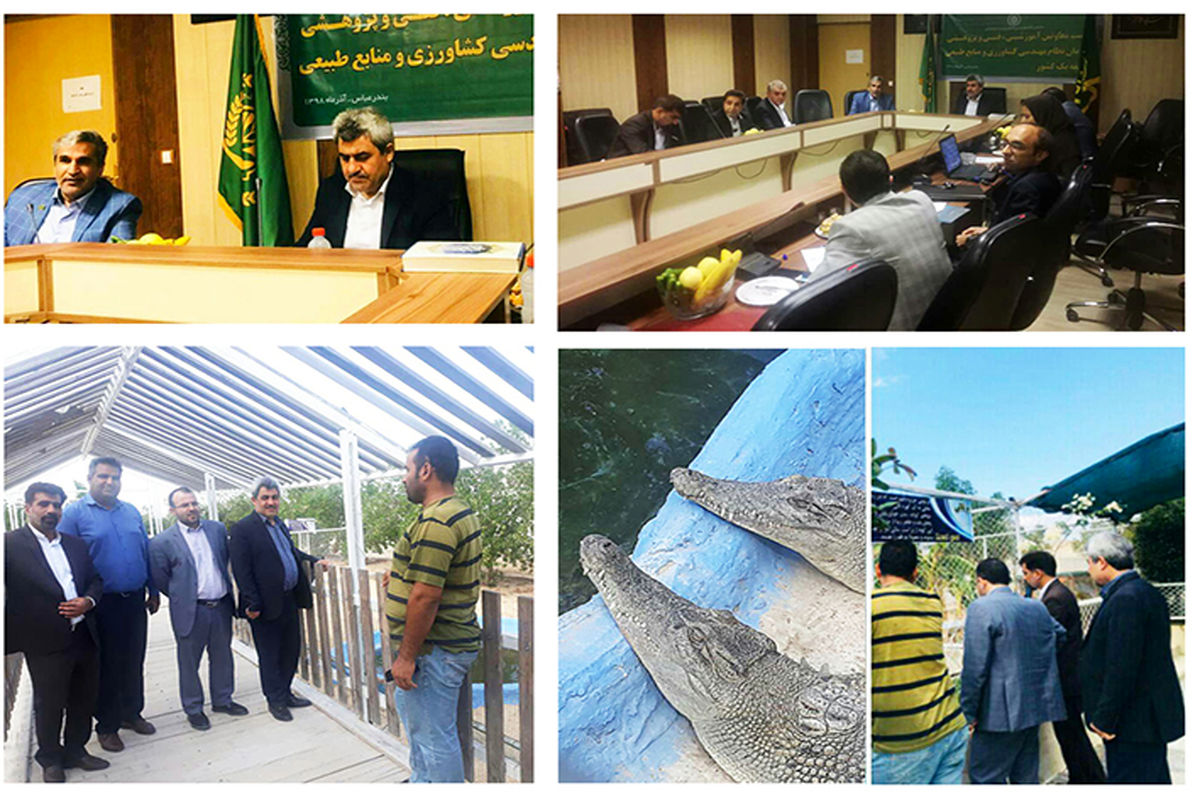 نظام مهندسی