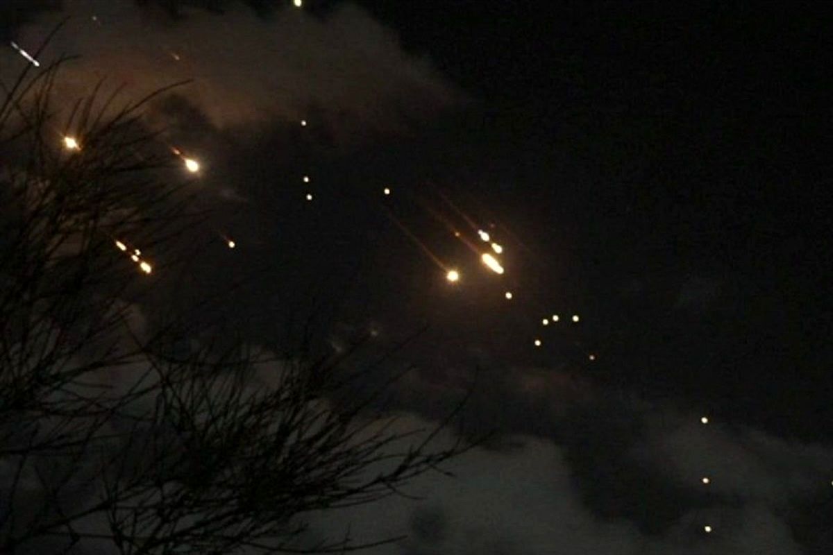 ریز پرنده ها