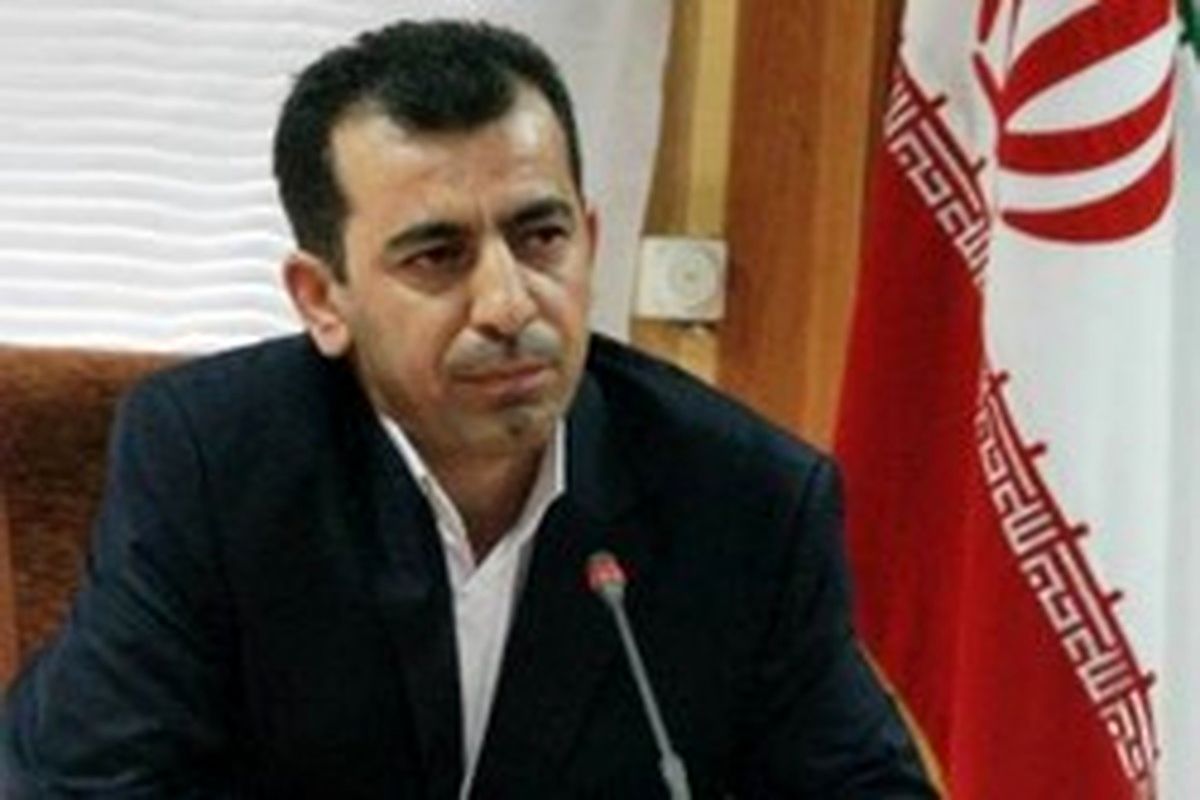 حامد جولایی