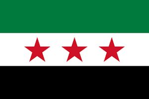 تأسیس «تشکل ملی سوریه» در مناطق جولانی رسما اعلام شد