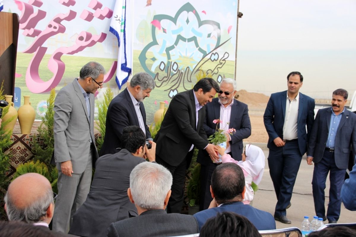 درختکاری در یزد