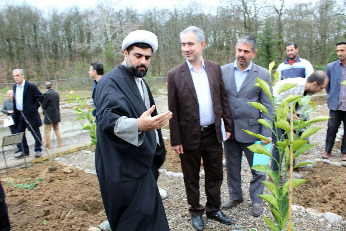 مطالعه گیاهان دارویی بومی