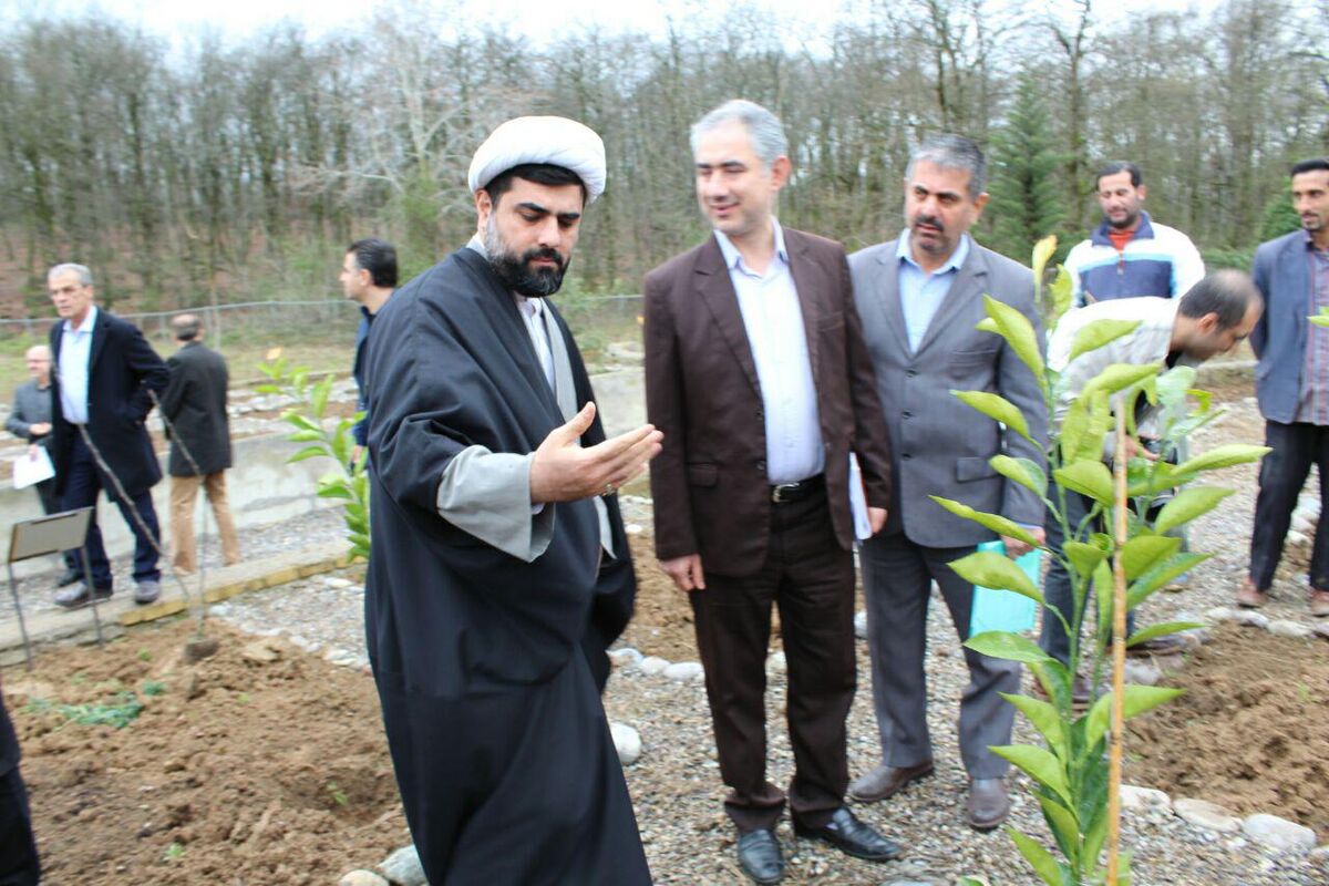 مطالعه گیاهان دارویی بومی