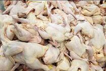 معدوم‌سازی مرغ‌های تاریخ‌گذشته در بستک با نظارت دستگاه قضایی
