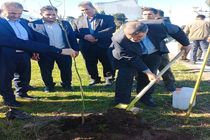 ضرورت فرهنگ‌سازی در حفظ و احیای منابع طبیعی