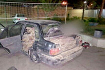 قاچاق چوب بلایی برای مناطق کویری خراسان رضوی