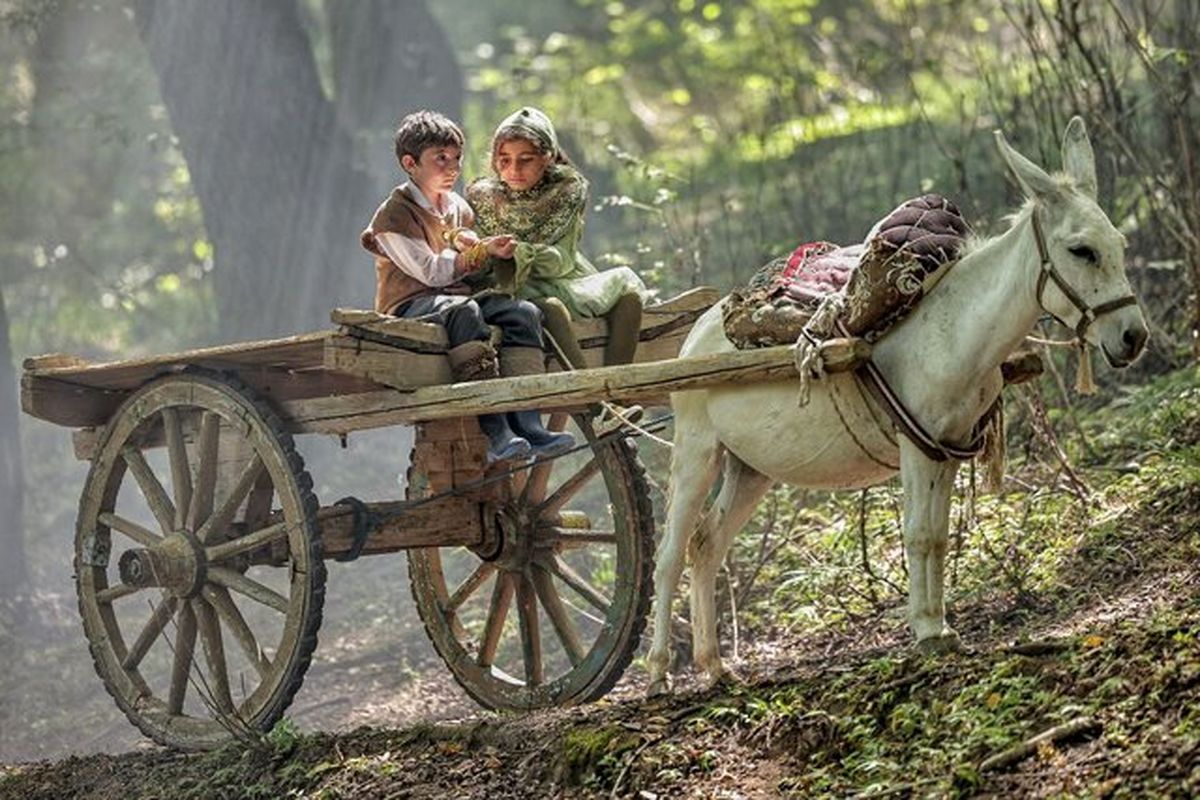 فیلم سینمایی روماک