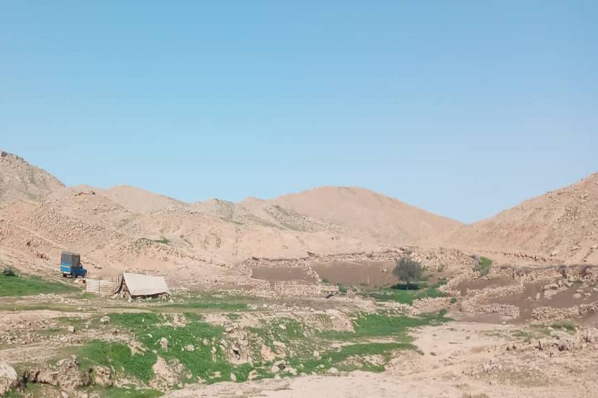 عشایر