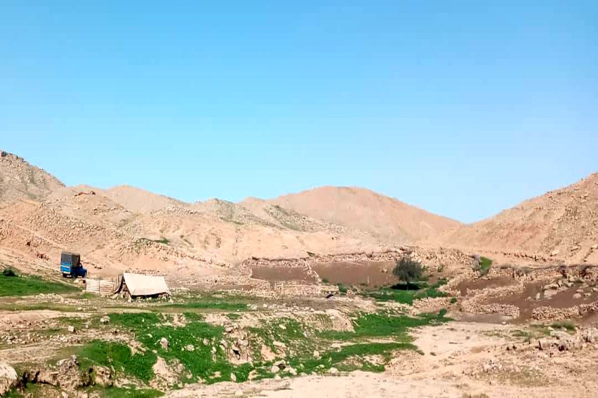 عشایر