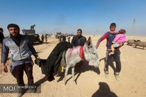 کمک 28 میلیون دلار کانادا به عراقی‌ها و سوری‌هایی که به کشورشان بازگردند