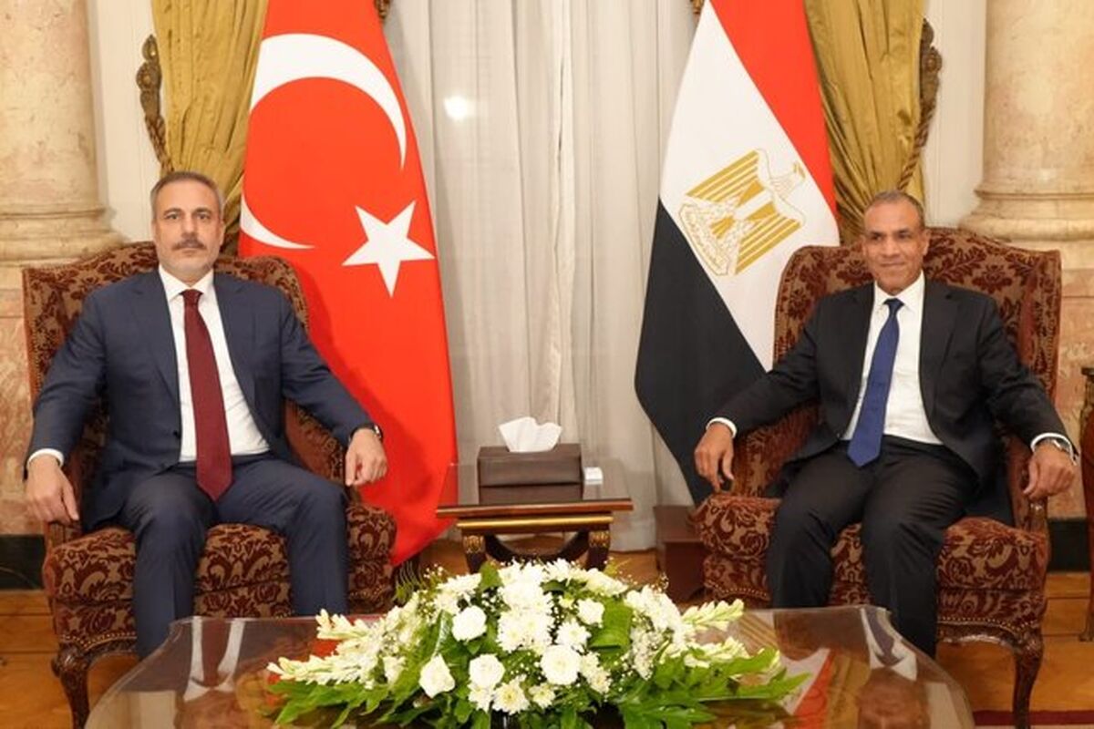 مصر و برزیل