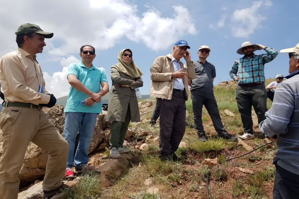 سرپرست گروه توسعه پایدار و امور فناوری سازمان جهاد کشاورزی استان قزوین