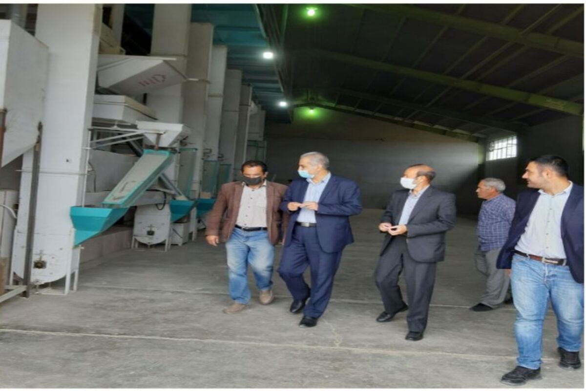 فرماندار پارس آباد