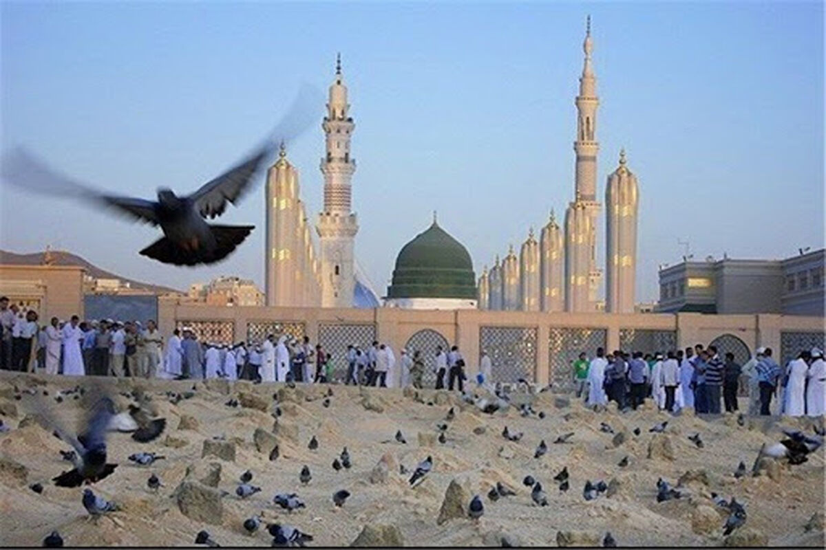مدینه