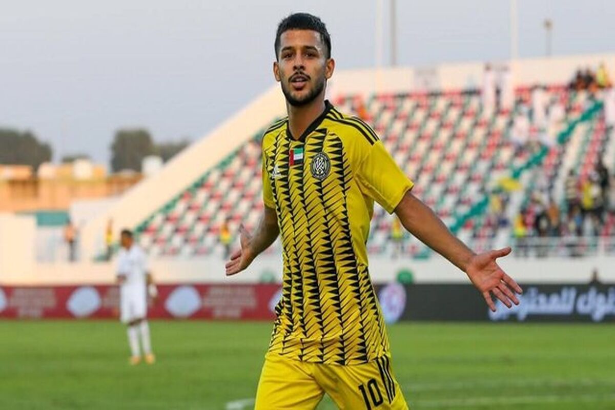 مهدی قایدی