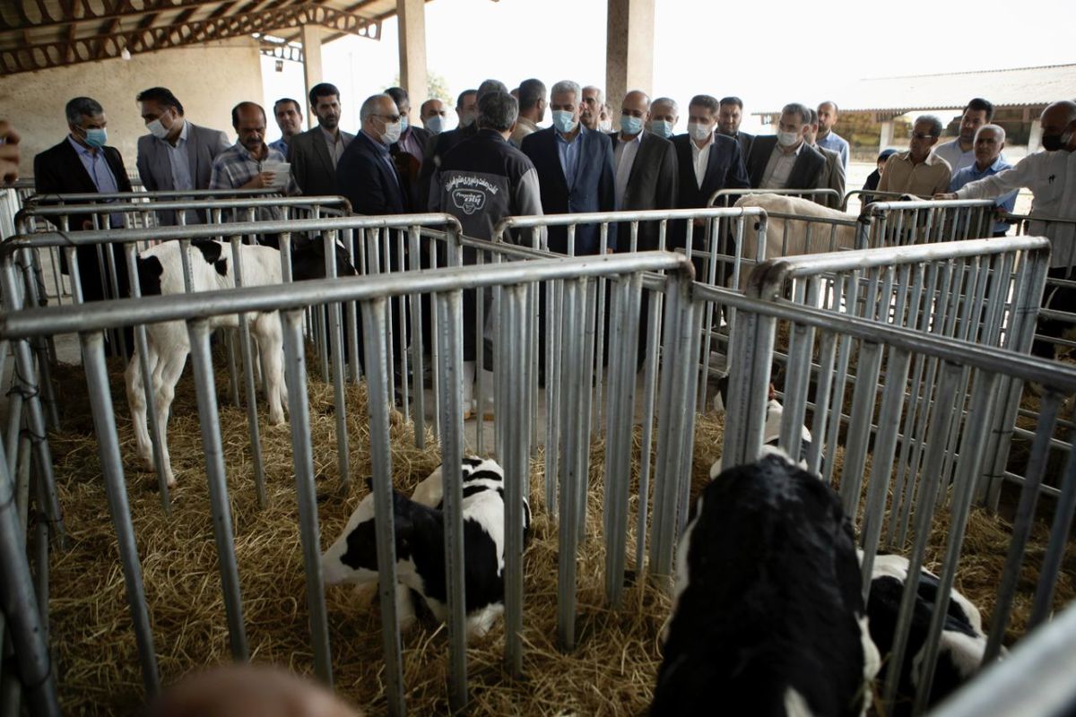 image_2022_8_25-15_7_16_674_qRk