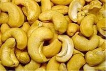 کشف 750 کیلو گرم بادام هندی قاچاق در قم