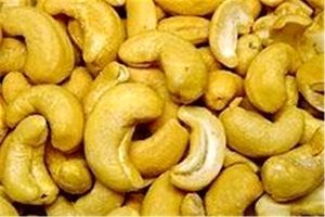 کشف 750 کیلو گرم بادام هندی قاچاق در قم