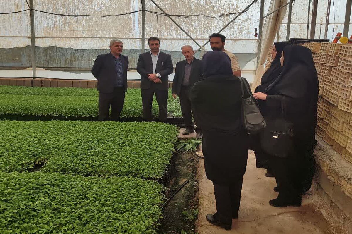 جهاد کشاورزی فارس 