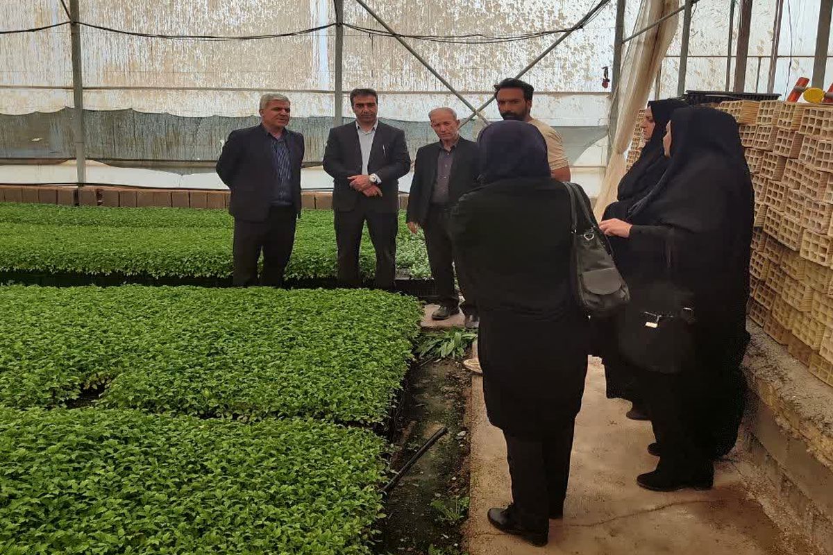 جهاد کشاورزی فارس 