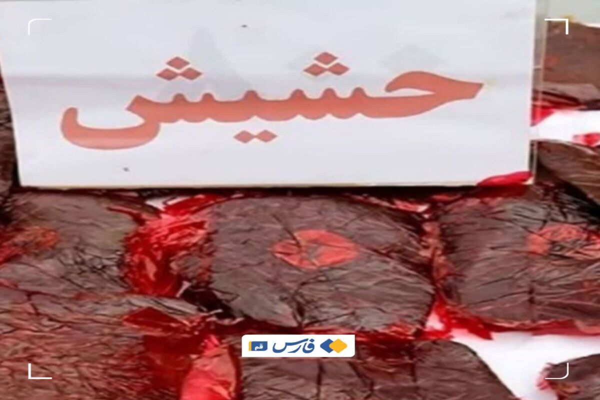  حشیش