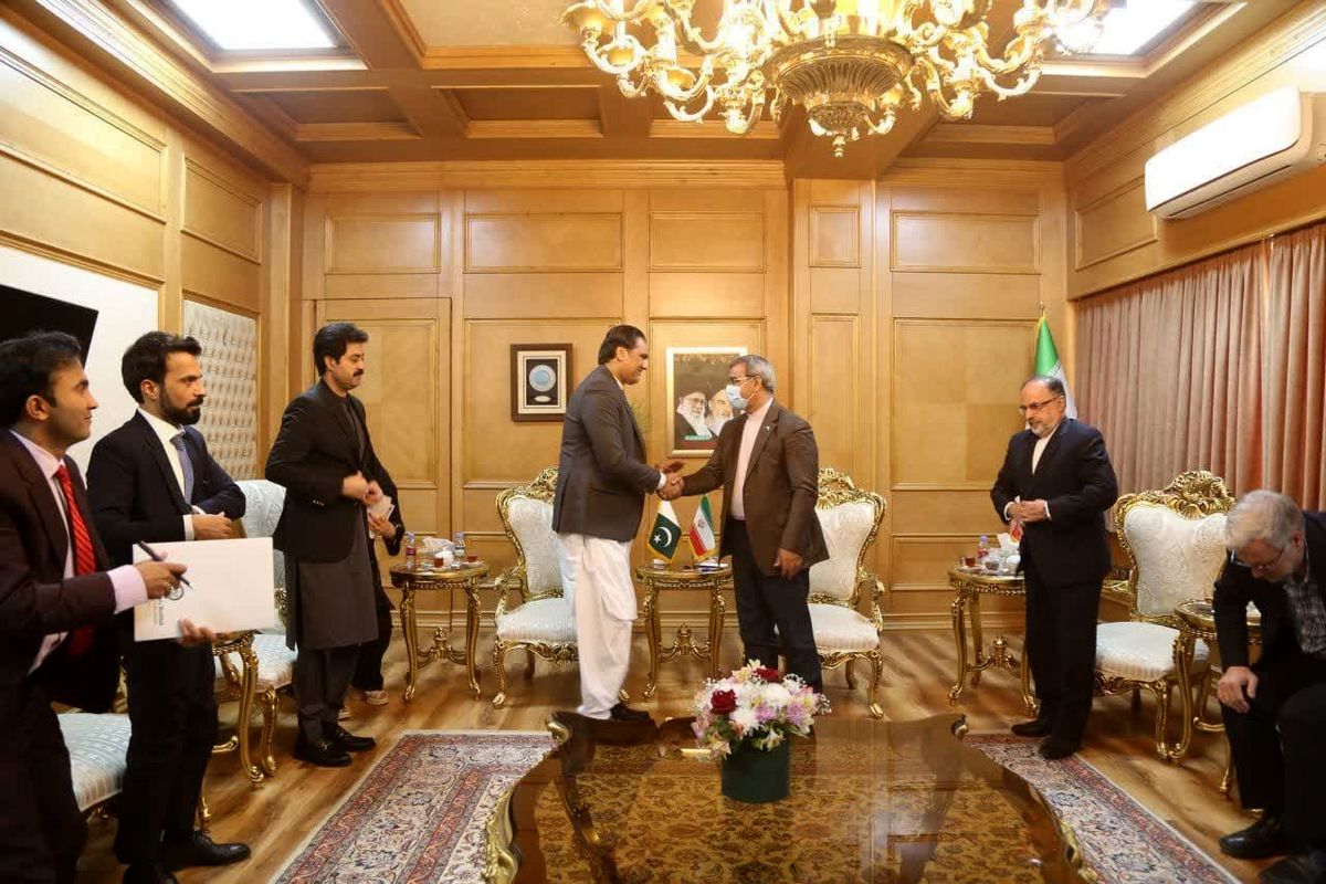 دستیار وزیر پاکستان