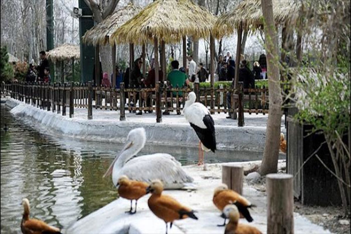 باغ پرندگان اصفهان