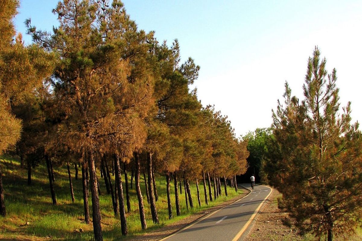 پارک چیتگر
