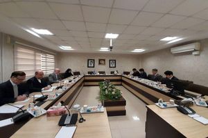 سفیر ژاپن با دبیر ستاد حقوق بشر ایران دیدار کرد