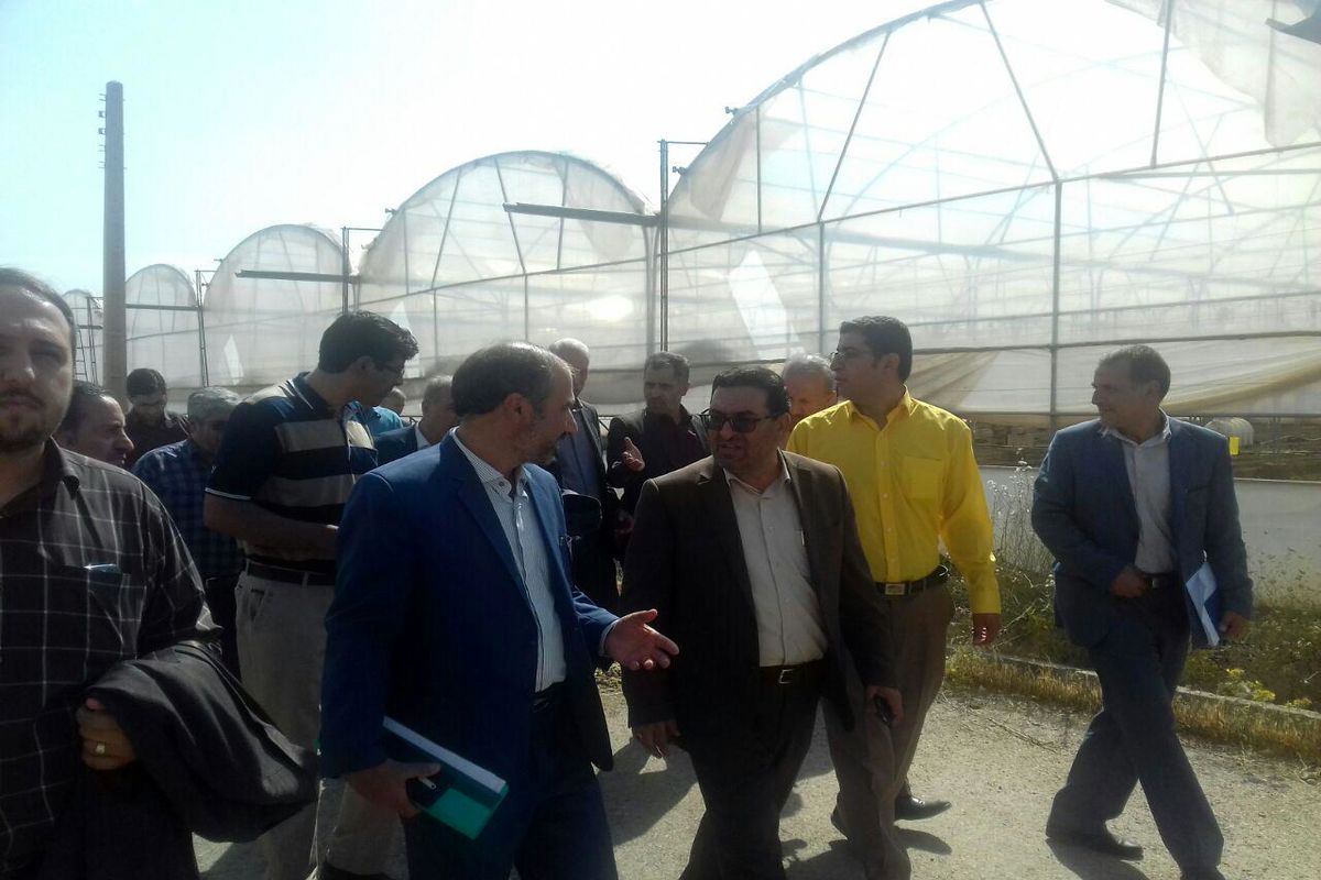 پورمجاهد در تویسرکان