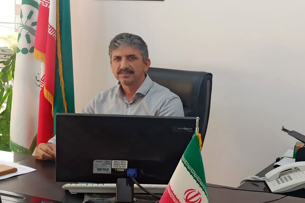 بیگی