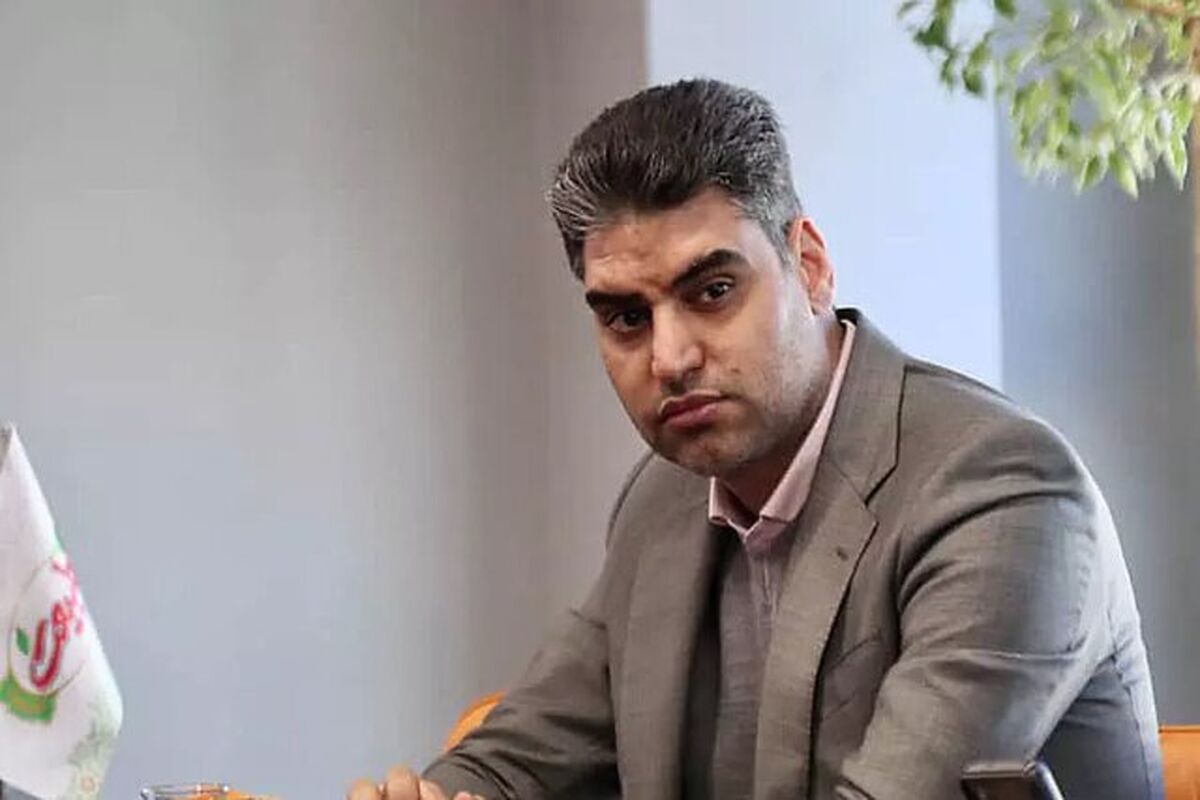پیمان حدادی بعنوان رئیس هیات مدیره پرسپولیس انتخاب شد