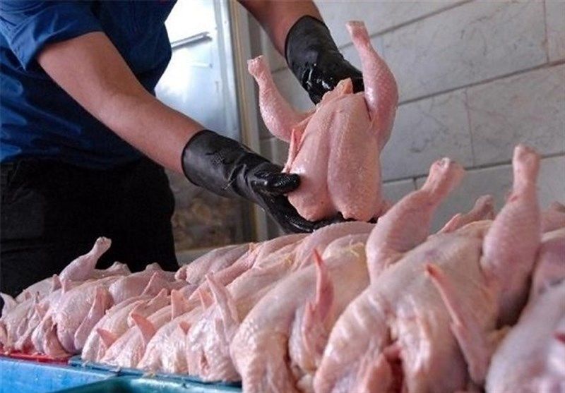 فروش مرغ با قیمت بالای 11500 تومان ممنوع است
