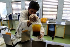 شناسایی ۳۶۰ گروه خونی نادرتوسط محققین