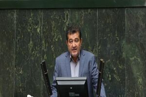 دولت فقط دلالان را عامل گرانی می داند/ دولت نمی خواهد تقصیرهای خود را قبول کند