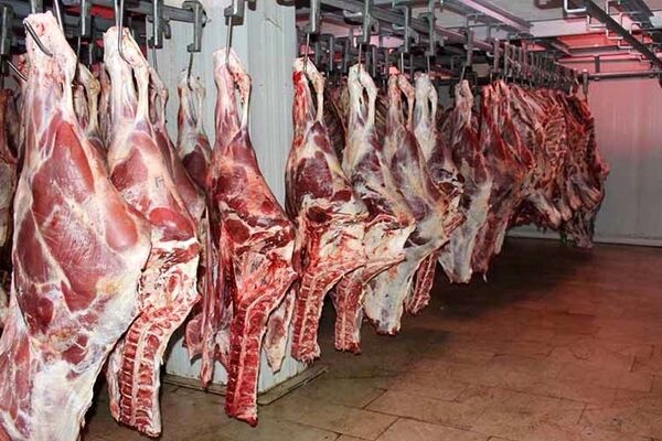عرضه ۳۷ هزار تن گوشت قرمز و ۱۶۱ هزار تن گوشت طیور در اردیبهشت