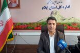  ۸۵۴ میلیارد تومان هزینه تأمین اجتماعی ایلام برای اشتغال و رفاه خانواده‌ها