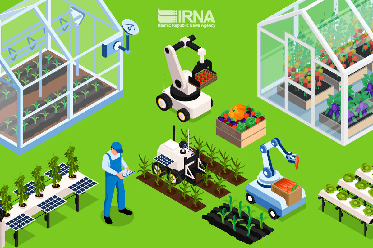 کشاورزی ساوه