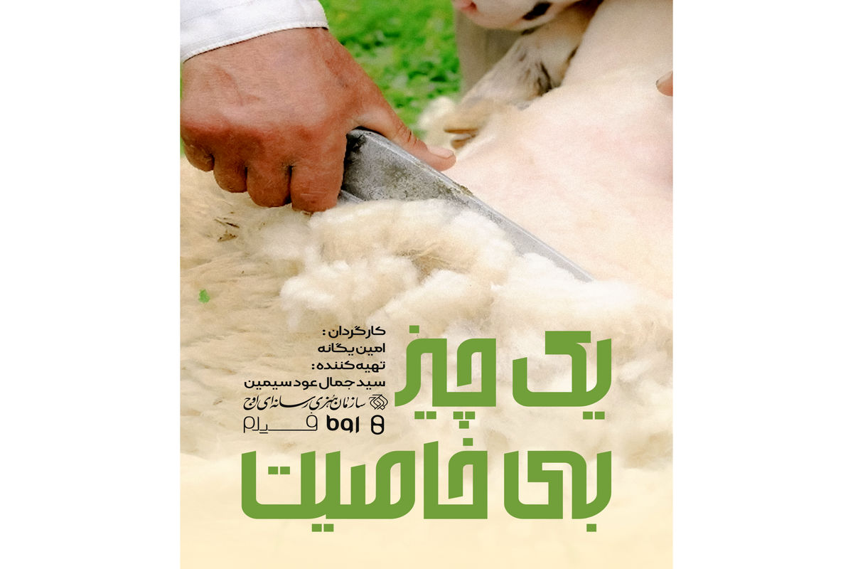 مستند بلند «یک چیز بی خاصیت»