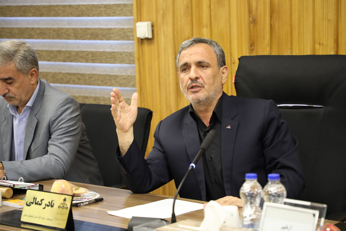 نادر کمالی